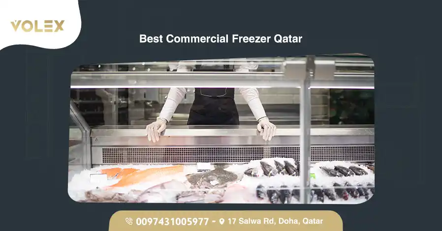 Best Commercial Freezer in Qatar